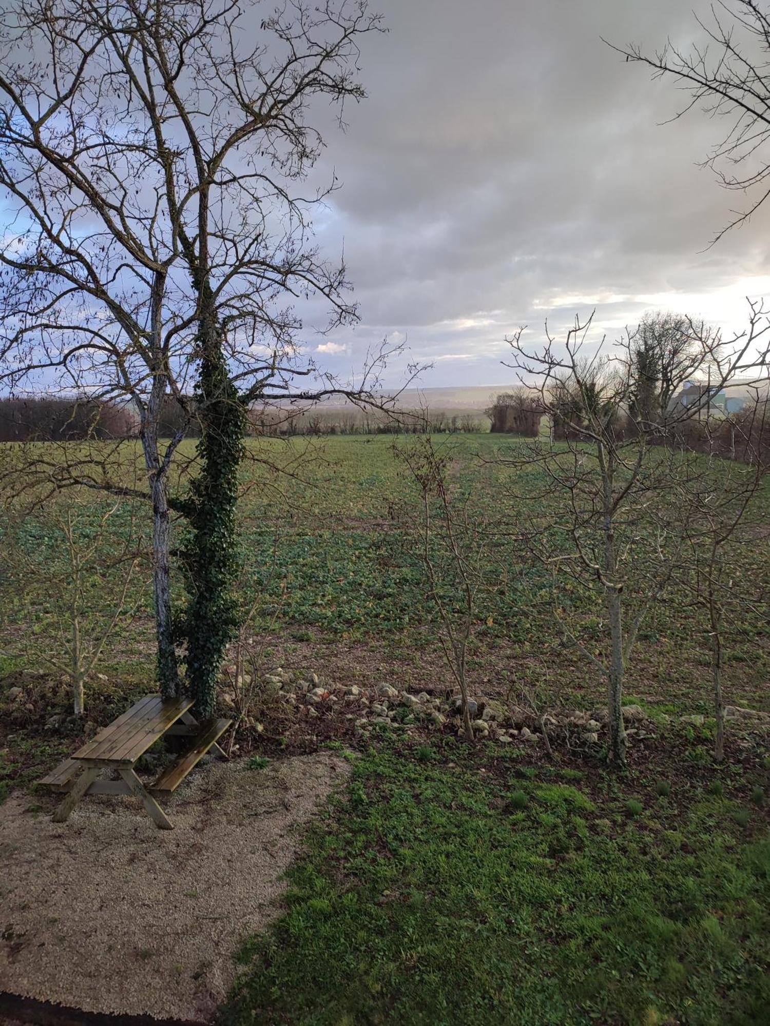 Gite De Montrancon Landes  Екстериор снимка